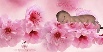 roze_bloemen_geboorteontwerp